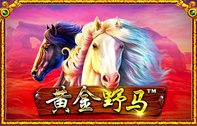 网彩玩app下载平台官网