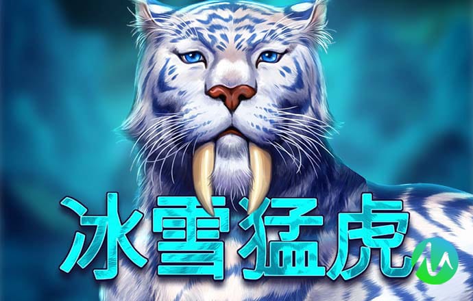 中欧体育kok下载
